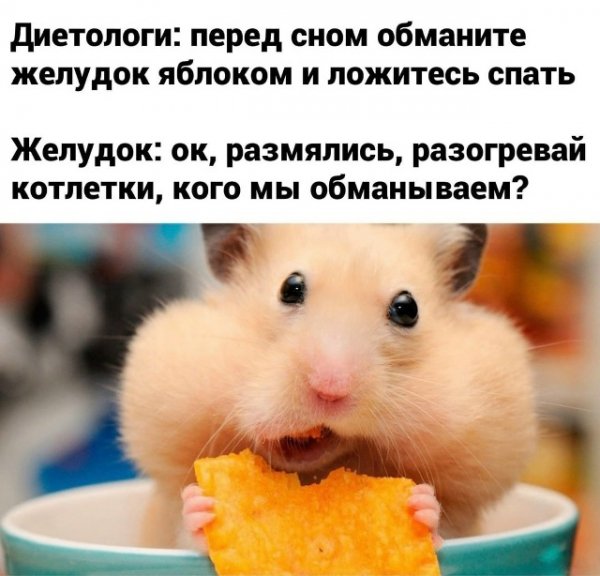 file_102509657