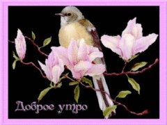 Доброе утро