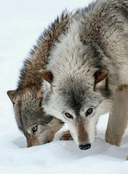 a82661ba70a0e0358450fe83b0b