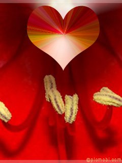file_55120400