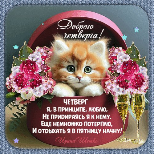 Анимированная открытка доброго четверга