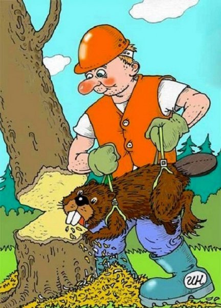 Рационализатор