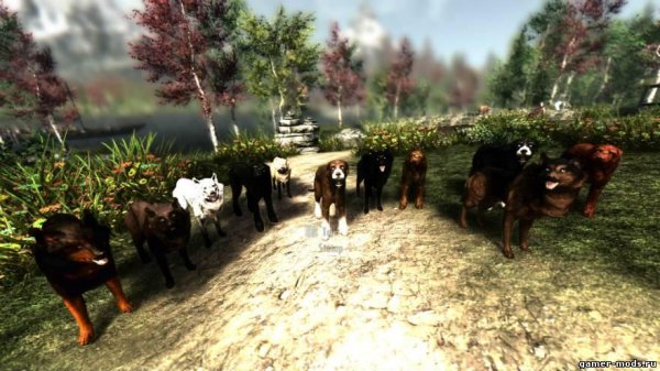 Dogs of Skyrim-2-0
