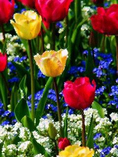 file_77406999