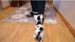 d81501876a5c158-a-nw-p