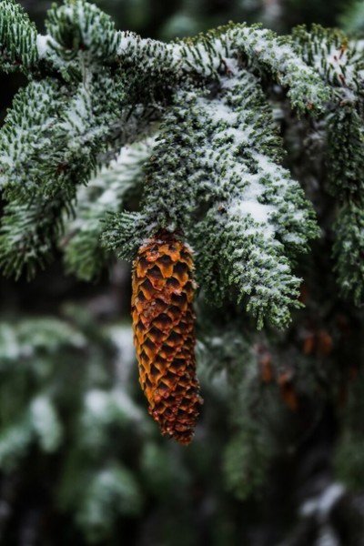 file_94875063