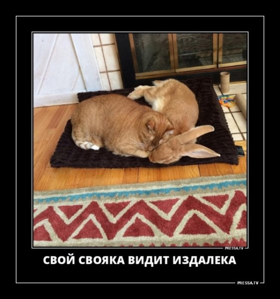 file_77186876