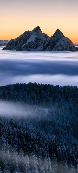 file_99283729