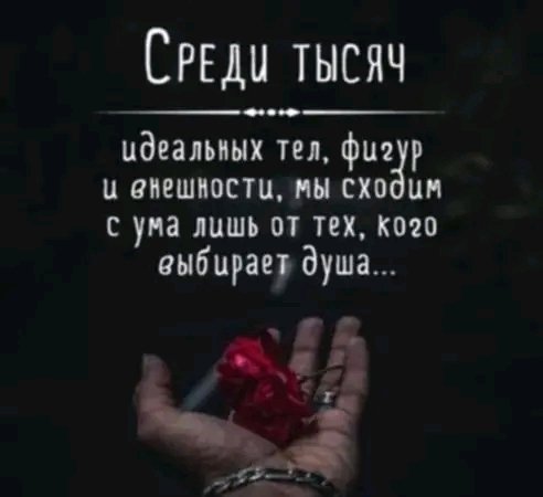 file_100775299