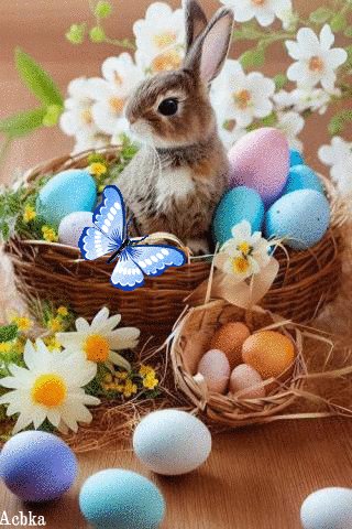 file_93313633