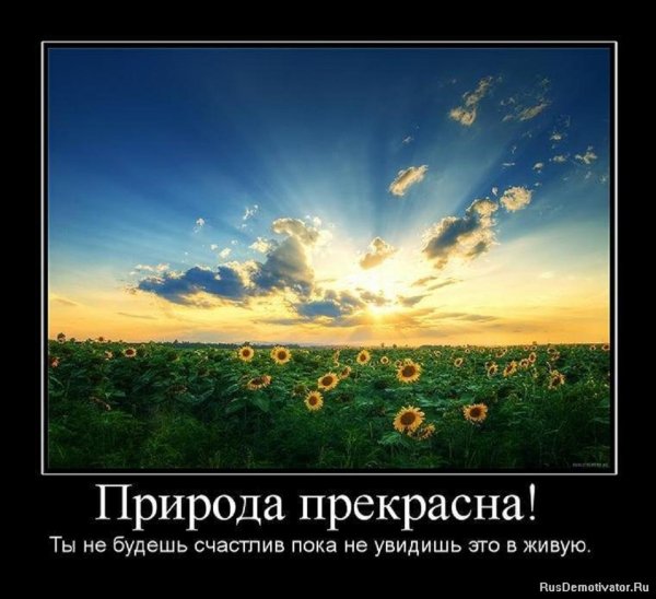 ПРИРОДА ПРЕКРАСНА!