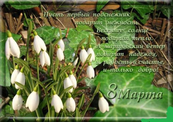 С праздником 8 Марта!!! 3.5с.
