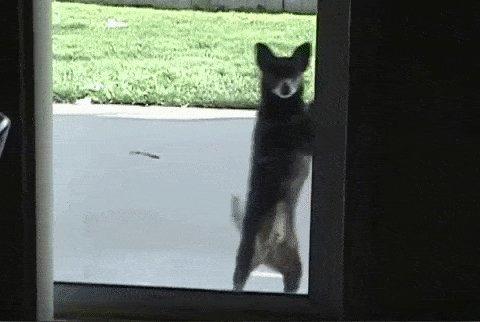 ))