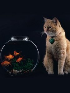 aquarium