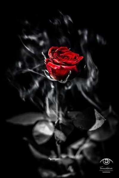 file_94207258