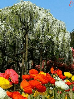 file_73064848