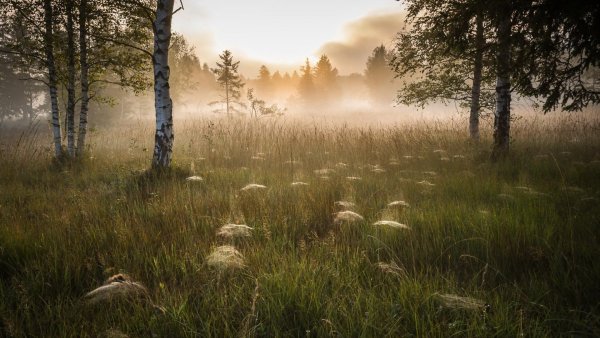 file_62758568