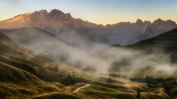 file_96398178