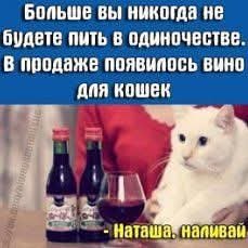 FB IMG 1776781432049