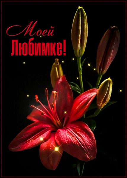 kartinkigif.ru- ph-31-2-903831927