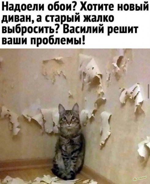 IMG 20260622 212439 254