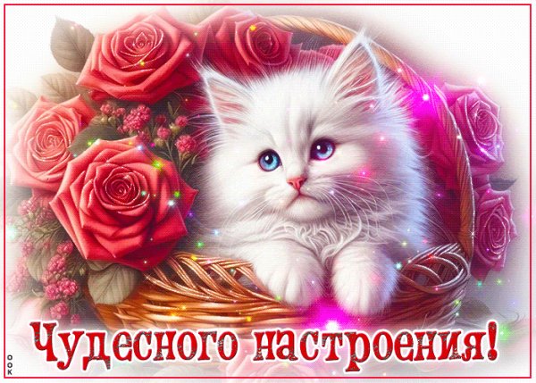file_98850303