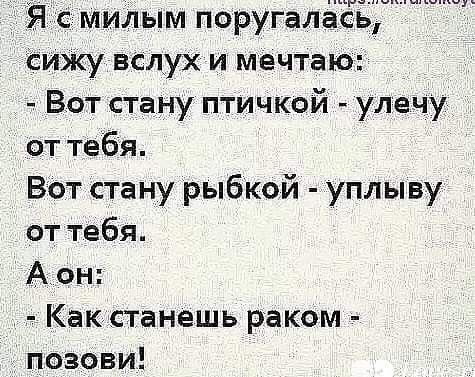 fee4850385e31d91cb683151b246a