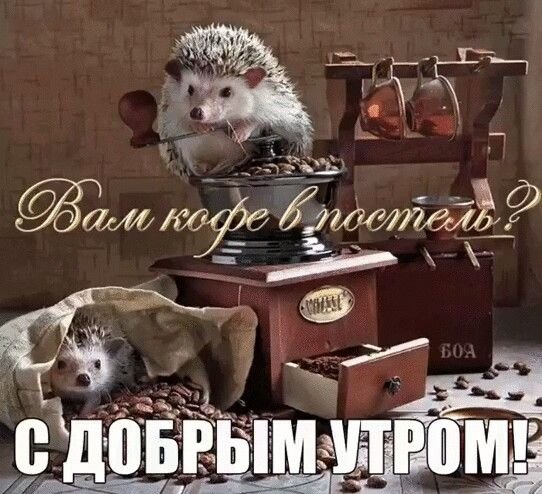 S dobrym utrom