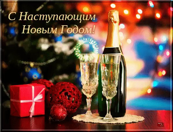 IMG 20240101 232823