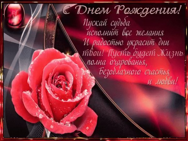 file_73597908