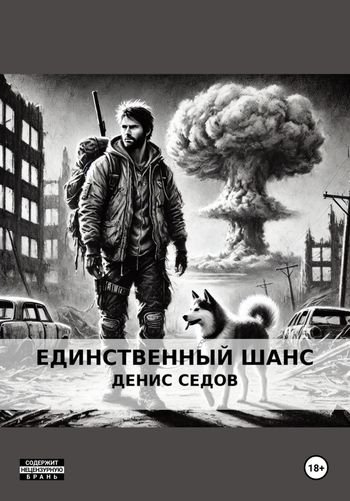 Денис Седов Единственный шанс
