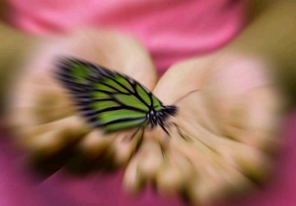 FB IMG 16222159835560905