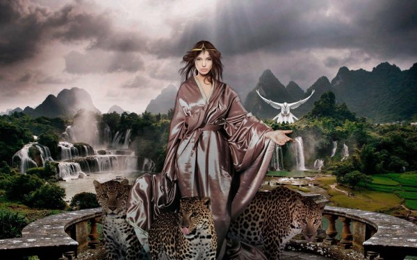 Wallpapers 1738