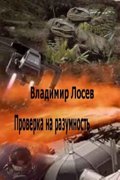 Владимир Лосев Проверка на разумность