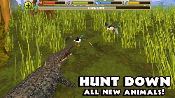 Wildlife Simulator Crocodile v.1.0