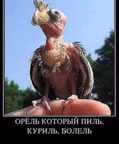 FB IMG 1779123392719