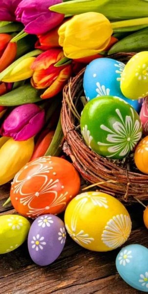 FB IMG 1714793066576