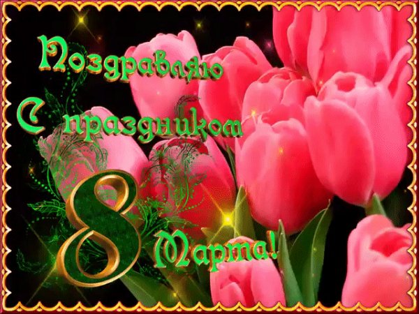 IMG 20240308 005242