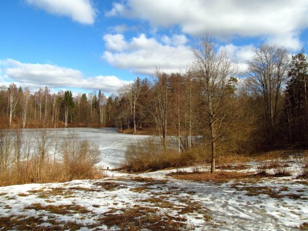 РАННЯЯ ВЕСНА