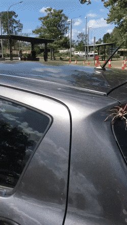 Реал жесток..