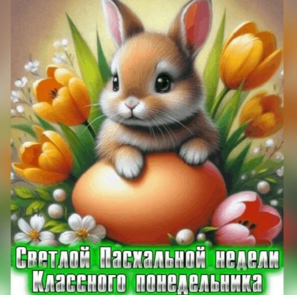 IMG 20260414 000023