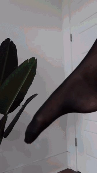 Гифки-Panties(PR)-Pleasure-Room-фэндомы-8042079