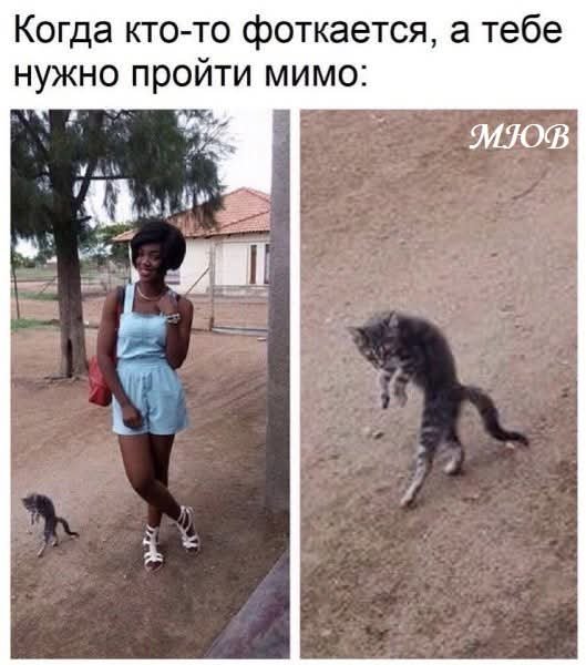 FB IMG 1779104088665