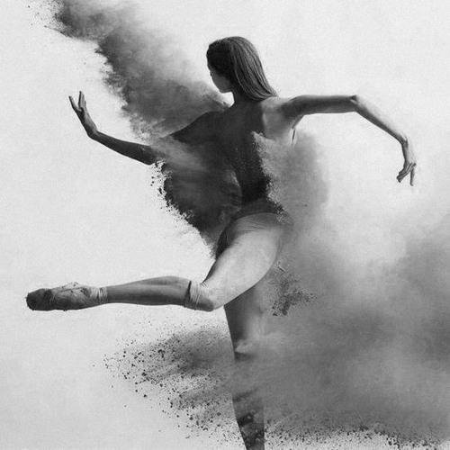 AllenConstantine - Story of a Black Swan