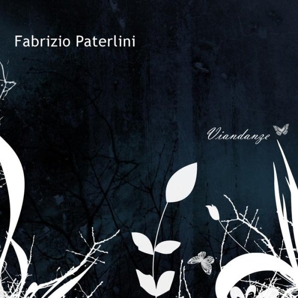 Fabrizio Paterlini - La polvere e lincanto