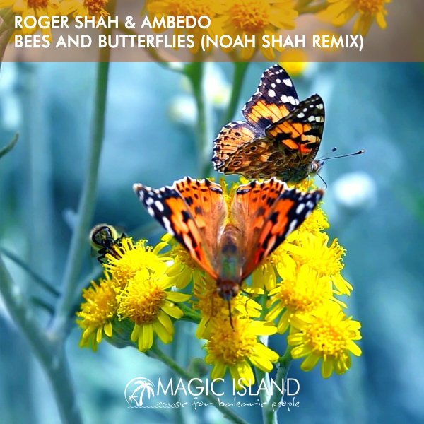 Roger Shah &amp; Ambedo - Bees And Butterflies (Noah Shah Extended Remix)