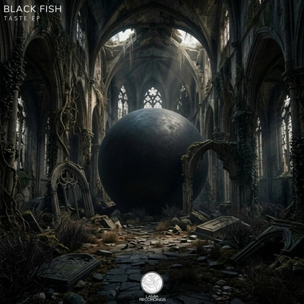 Black Fish - Taste