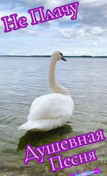 Гектор - Не плачу