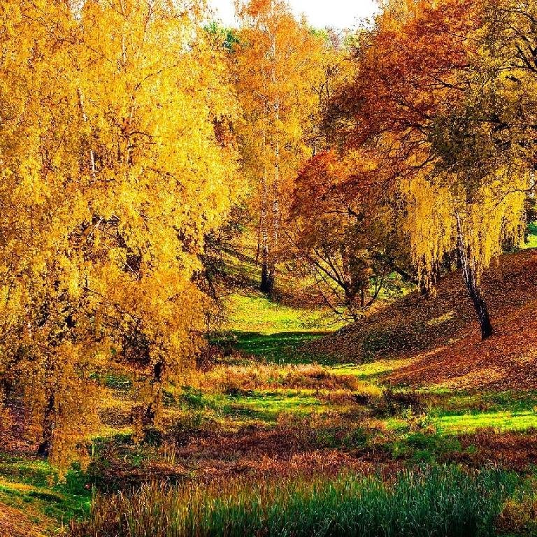 Александр Грин - Не говори - Александр Грин - Не говори