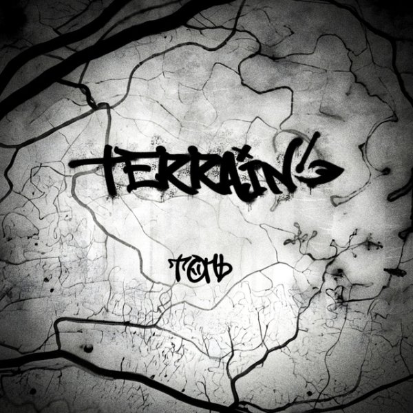 TERRAIN! - Топь